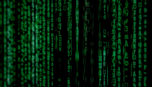 Photo close up of the matrix