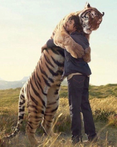 man hugging a tiger